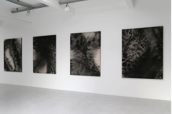 somniflos, 2015, Galerie Elisabeth & Klaus Thoman