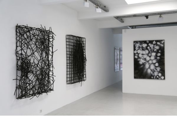 somniflos, 2015, Galerie Elisabeth & Klaus Thoman