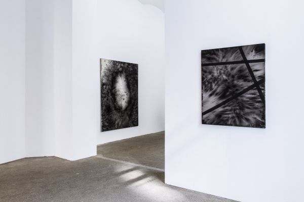morphic fields, 2016, Galerie Elisabeth & Klaus Thoman, Wien